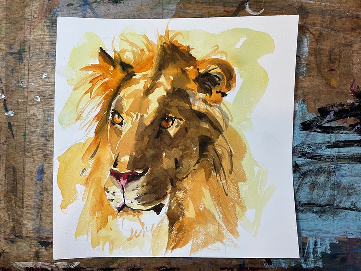 watercolour paintings of lions