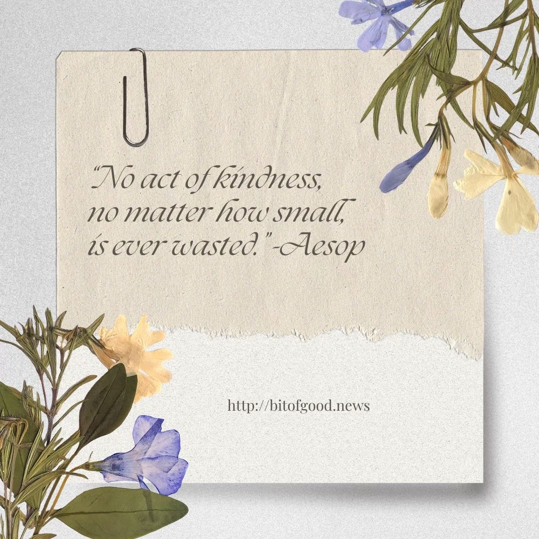 Promo for A Bit of Good News features pressed flowers and a beige piece of paper with a quote from Aesop: "No act of kindness, no matter how small, is ever wasted."