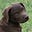 Moose's avatar