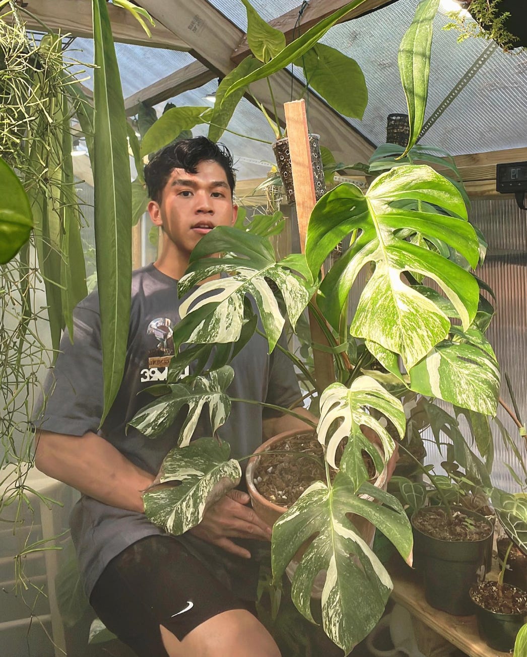 Interview with Unsent Studio, the Viral Sensation Behind the "Plant Crocs"
