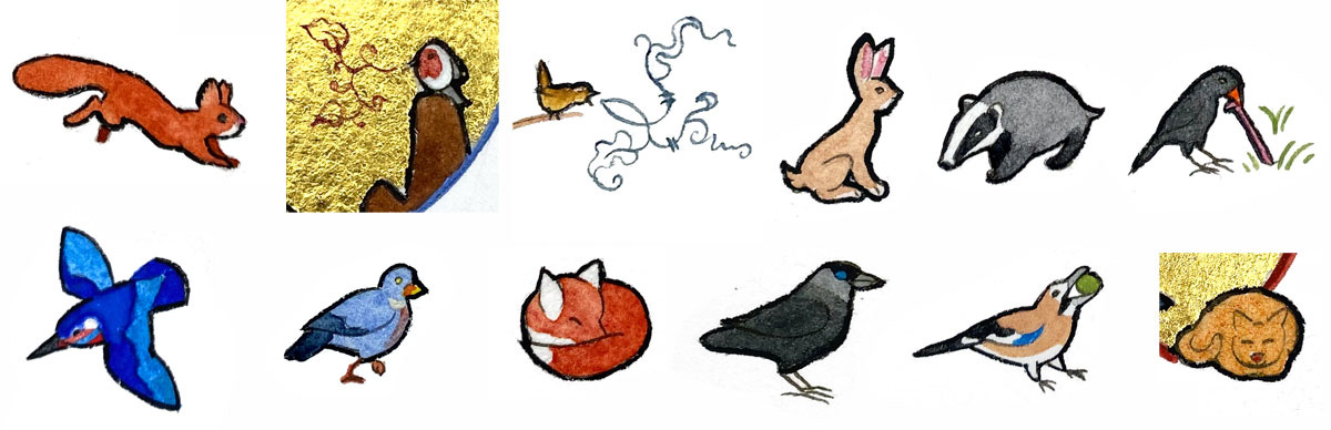 The animals I included with each month: red squirrel, singing robin, singing wren, rabbit, badger, blackbird pulling worm, kingfisher, wood pigeon, red fox curled up, jackdaw, jay gobbling up acorn, cat in a ball.