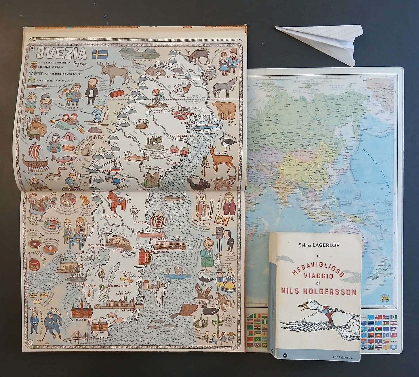 Il meraviglioso viaggio di Nils Holgersson di Selma Lagerlöf, Iperborea (2024) e Mappe di Aleksandra Mizielinska, Daniel Mizielinski, Electa Kids (2020)