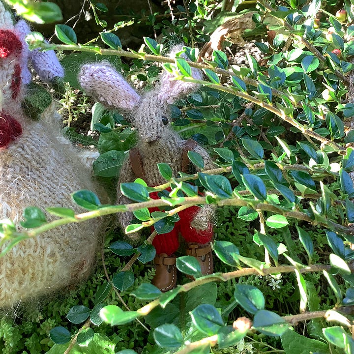 Soft toys hiding in the bushes