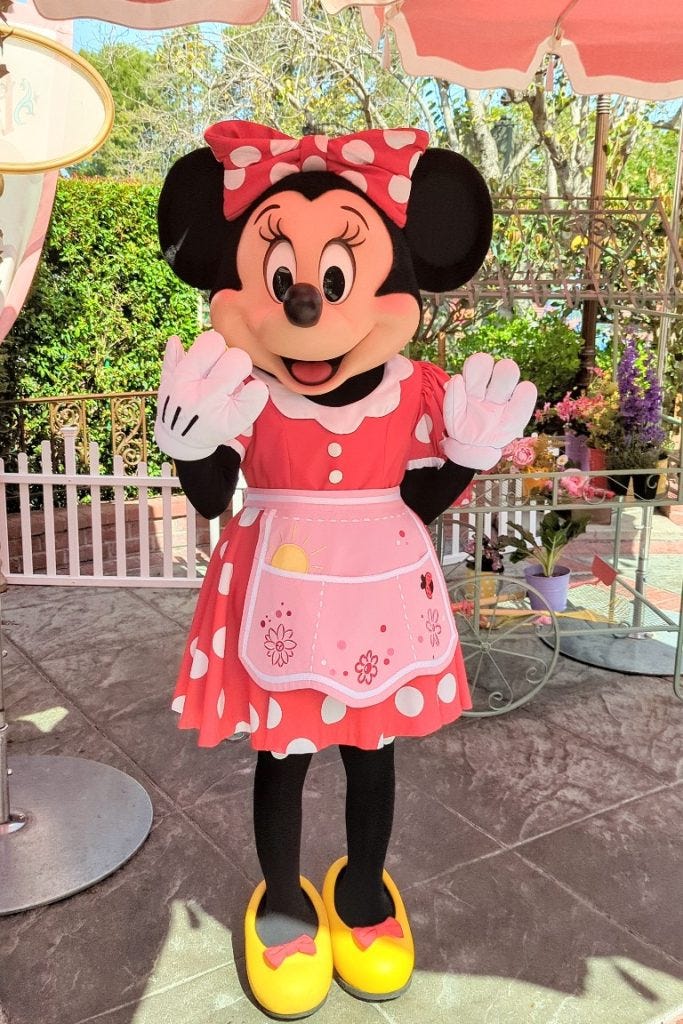 Finding Disneyland Characters - Smart Mouse Travel