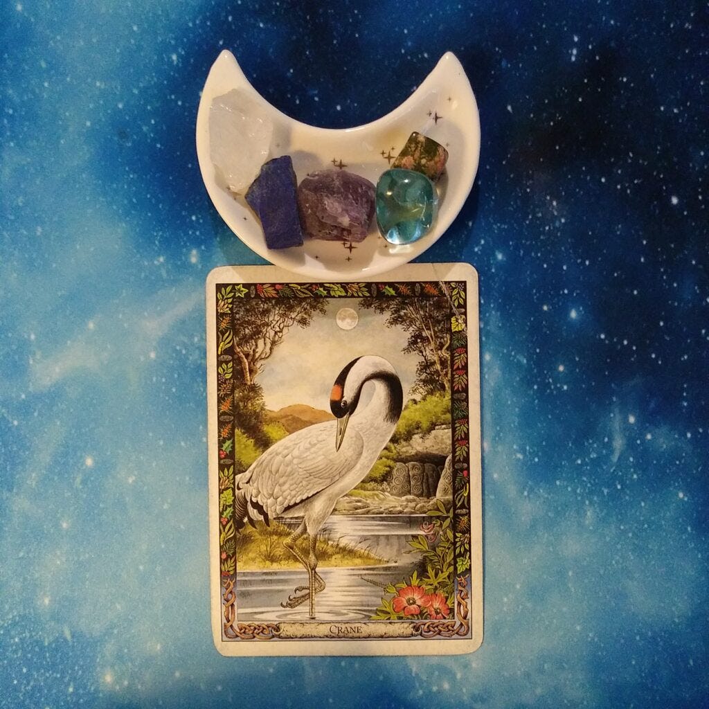 A Message from the Universe ~ Keep Your Eye On The Prize, Druid Animal Oracle Card A Message from the Universe ~ Keep Your Eye On The Prize, Druid Animal Oracle Card