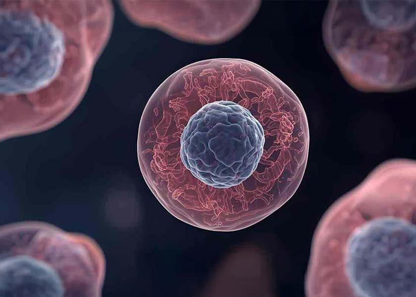 Stabilizing Cell Membranes to Mitigate Cancer Risk — The Role of C15:0 and Choline