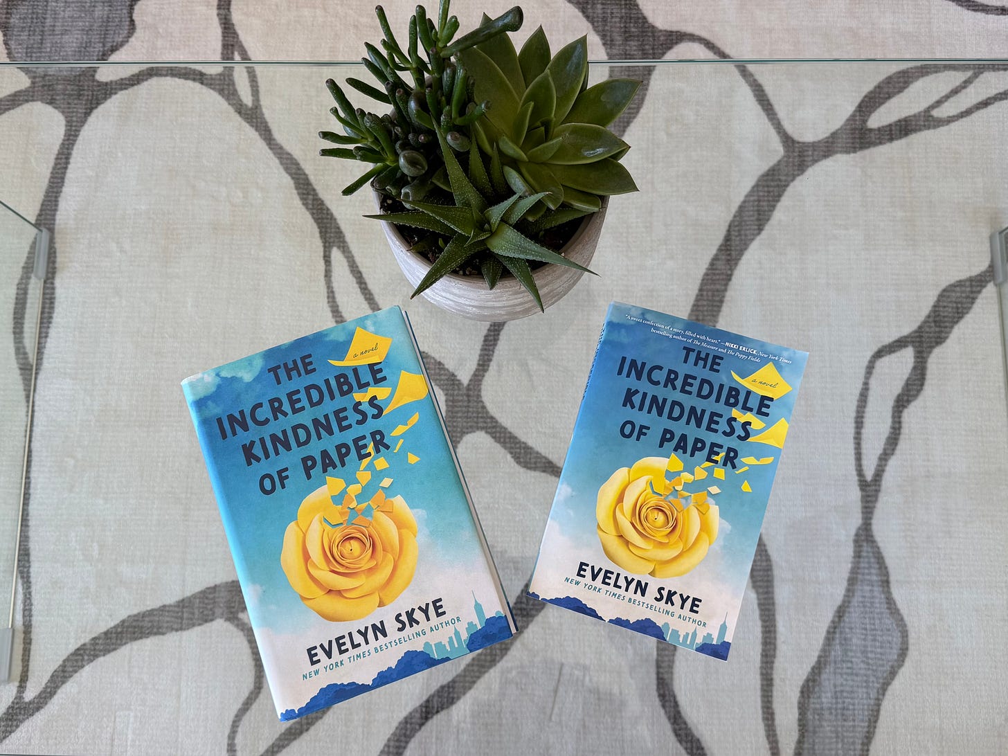 Hardcover and paperback editions of The Incredible Kindness of Paper on a glass table with a succulent next to them Hardcover and paperback editions of The Incredible Kindness of Paper on a glass table with a succulent next to them