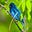 Indigo_Bunting's avatar