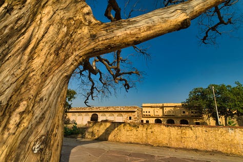 Images of the buildings and ramparts of the Nahargarh Fort in the late afternoon sun.