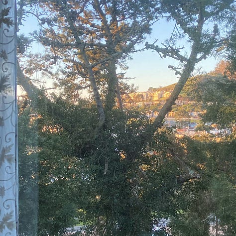 Images of morning light on different days