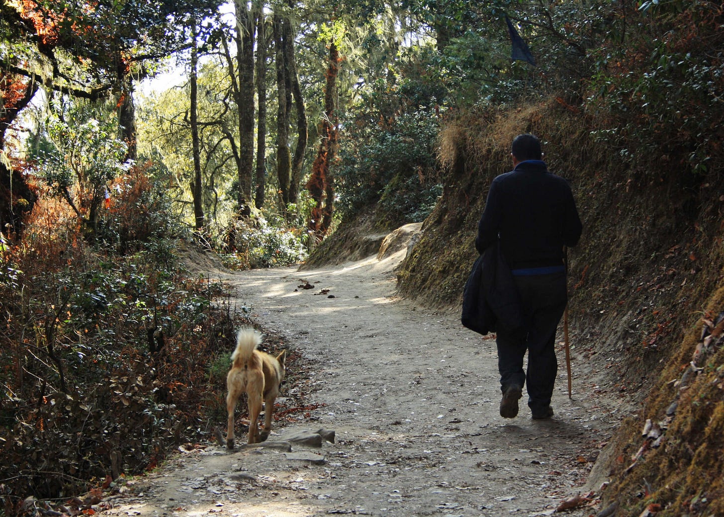 The author walking with a dog on a mountain trail near Paro Taktsang, Bhutan, seen from behind.