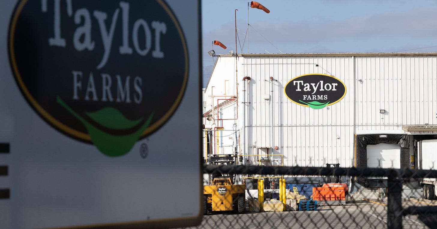 Taylor Farms recall: Lettuce recalled in 27 states over cyclospora outbreak | The Independent Taylor Farms recall: Lettuce recalled in 27 states over cyclospora outbreak | The Independent