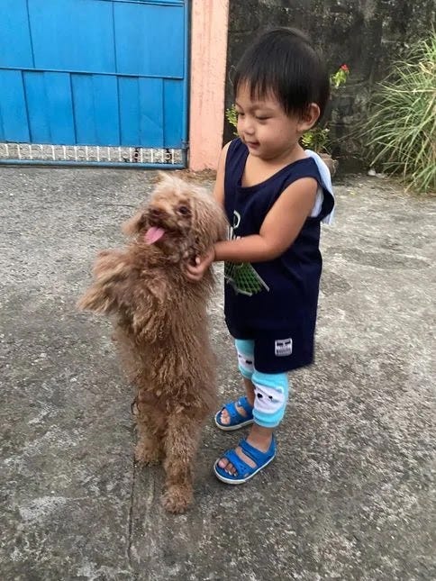 Our little boy Rafa playing with a dog