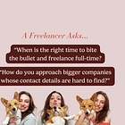 How I cold pitch bigger companies + when is the right time to go freelance? │ 💬 A Freelancer Asks...