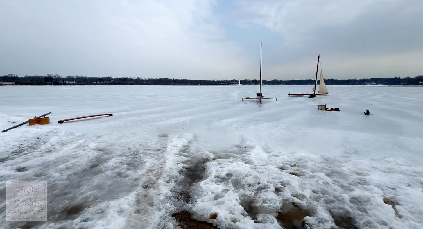 Still from the video showing a frozen lake by Takafumi Ide at Lake Ronkonkoma, February 14, 2026 Still from the video showing a frozen lake by Takafumi Ide at Lake Ronkonkoma, February 14, 2026