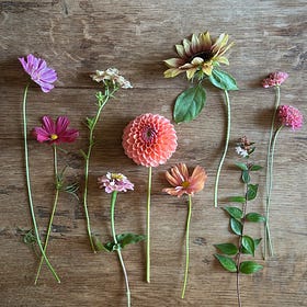 July Garden notes