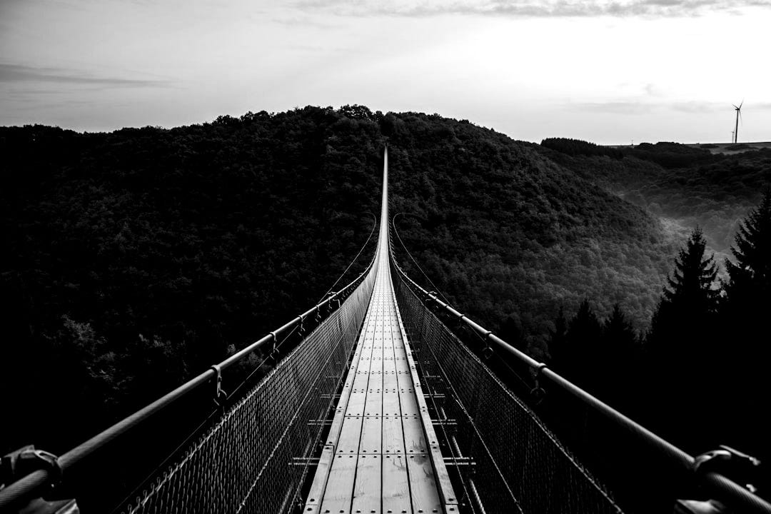gray and black wooden bridge across mountains covered by trees