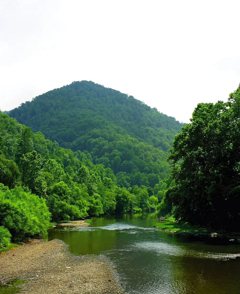 A lush, green Appalachian mountain rises in the background under a bright, hazy sky. In the foreground, a calm, shallow river winds through dense forest and rocky banks. This is Blair Mountain, a historic site in West Virginia known for the 1921 labor uprising during the Mine Wars.