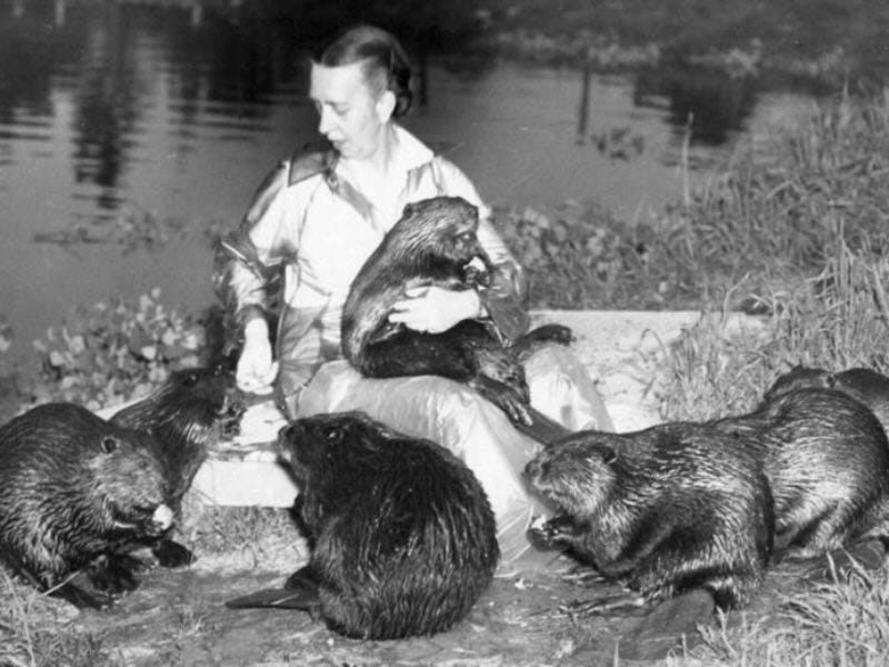 “Beaver Woman” Dorothy Richards “Beaver Woman” Dorothy Richards