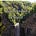 The Trumansburg Project