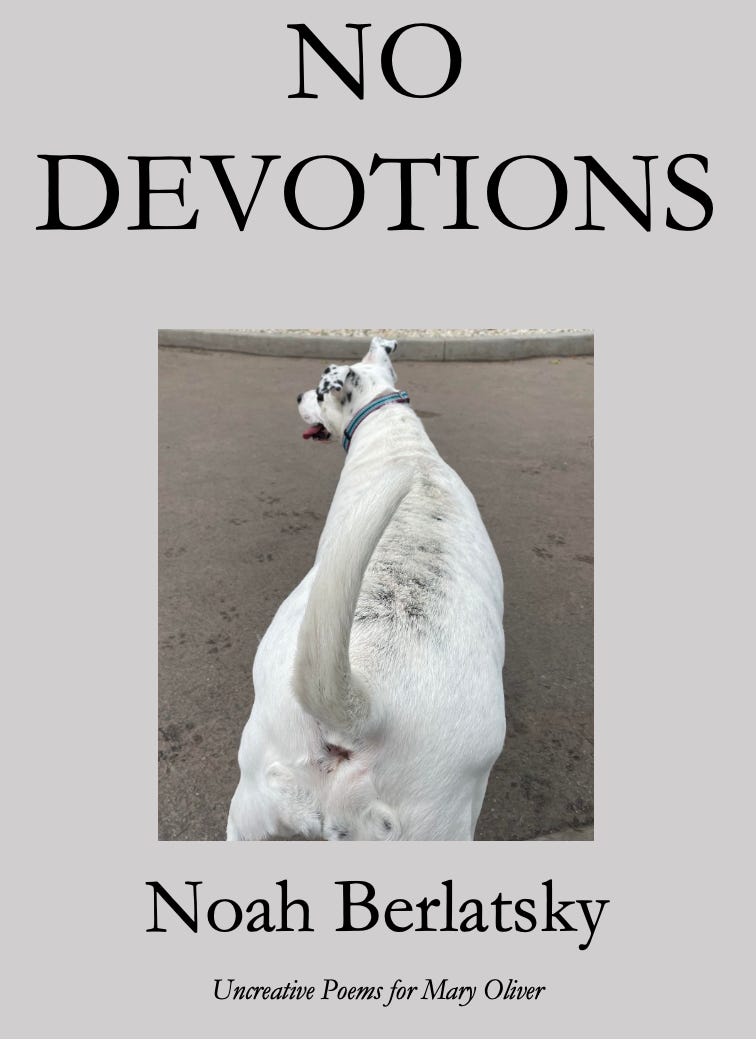 No Devotions cover; black and white image of a dog with its butt towards the camera No Devotions cover; black and white image of a dog with its butt towards the camera