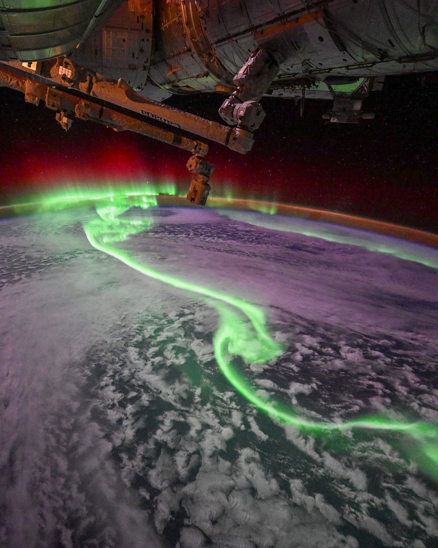 May be an image of arctic