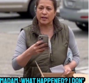 Poneh Danesh - Frank Report Mullah Simp Targets Iranian MD: TikTok bully Danesh Noshirvan simps for Tehran, using bots and lies to erase an Iranian immigrant doctor.