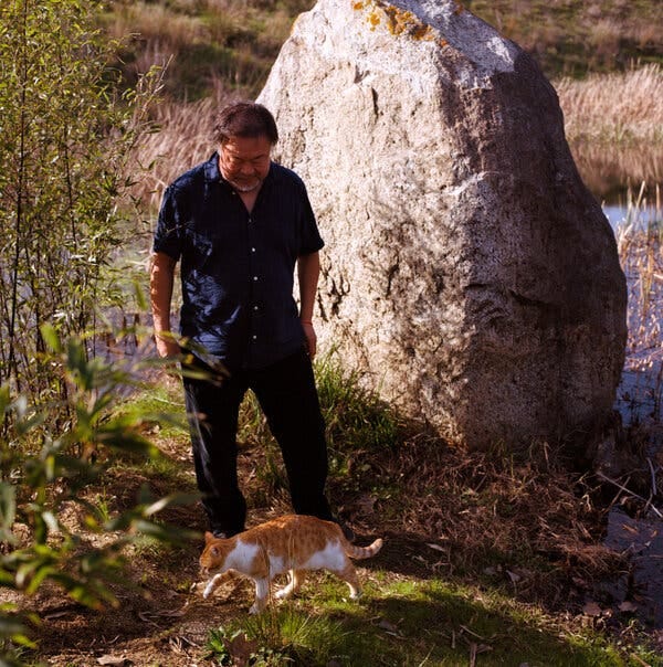 Ai says of Yellow, “If I go on a walk, he follows me, almost like a dog.”