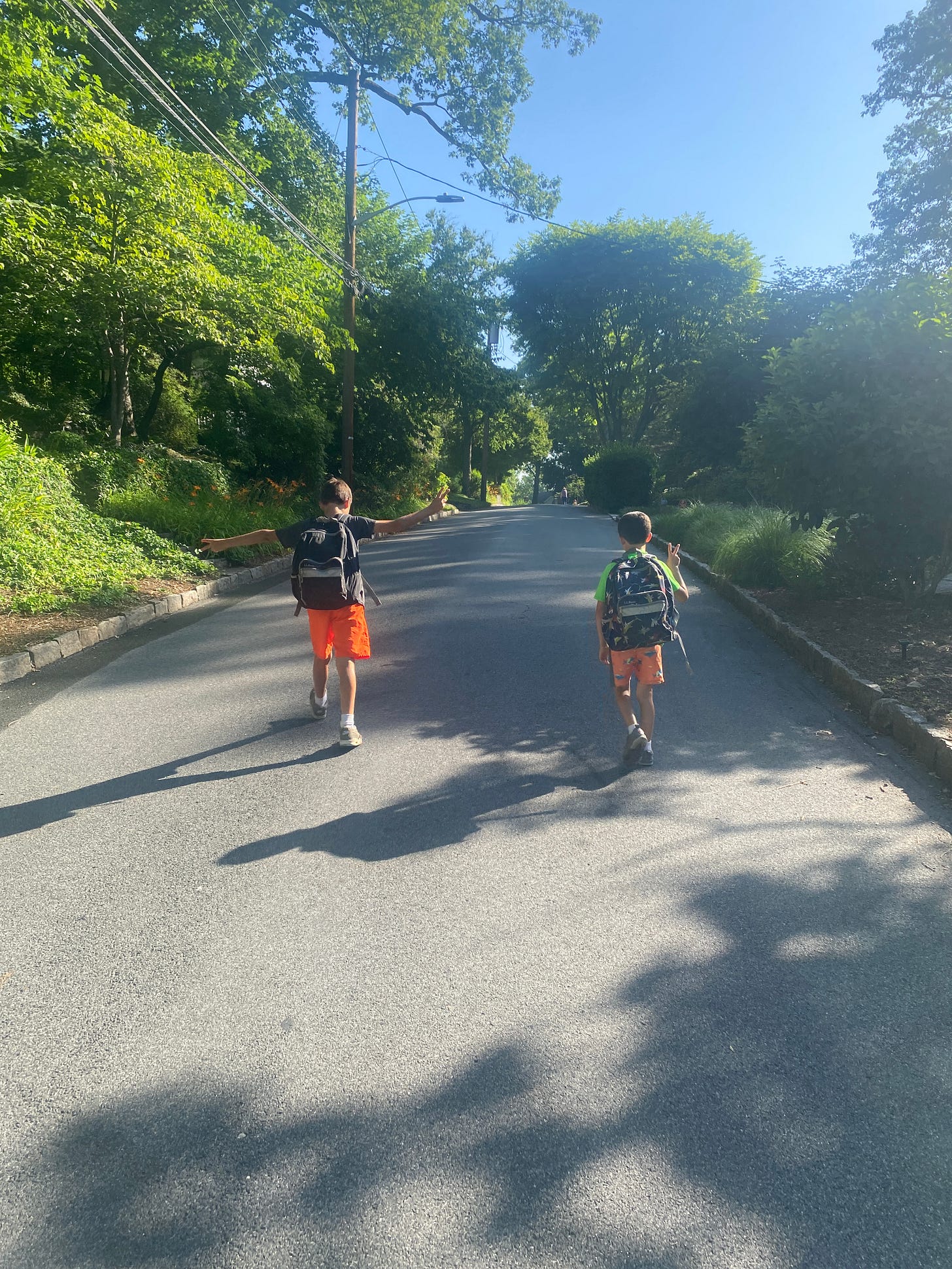 Two boys walking away up the street