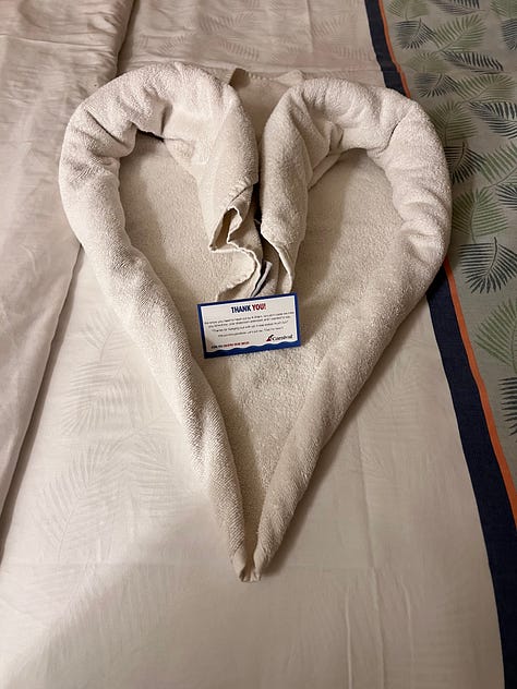 pictures of towel animals from a carnival cruise