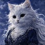 Juliette Grimalkin's avatar