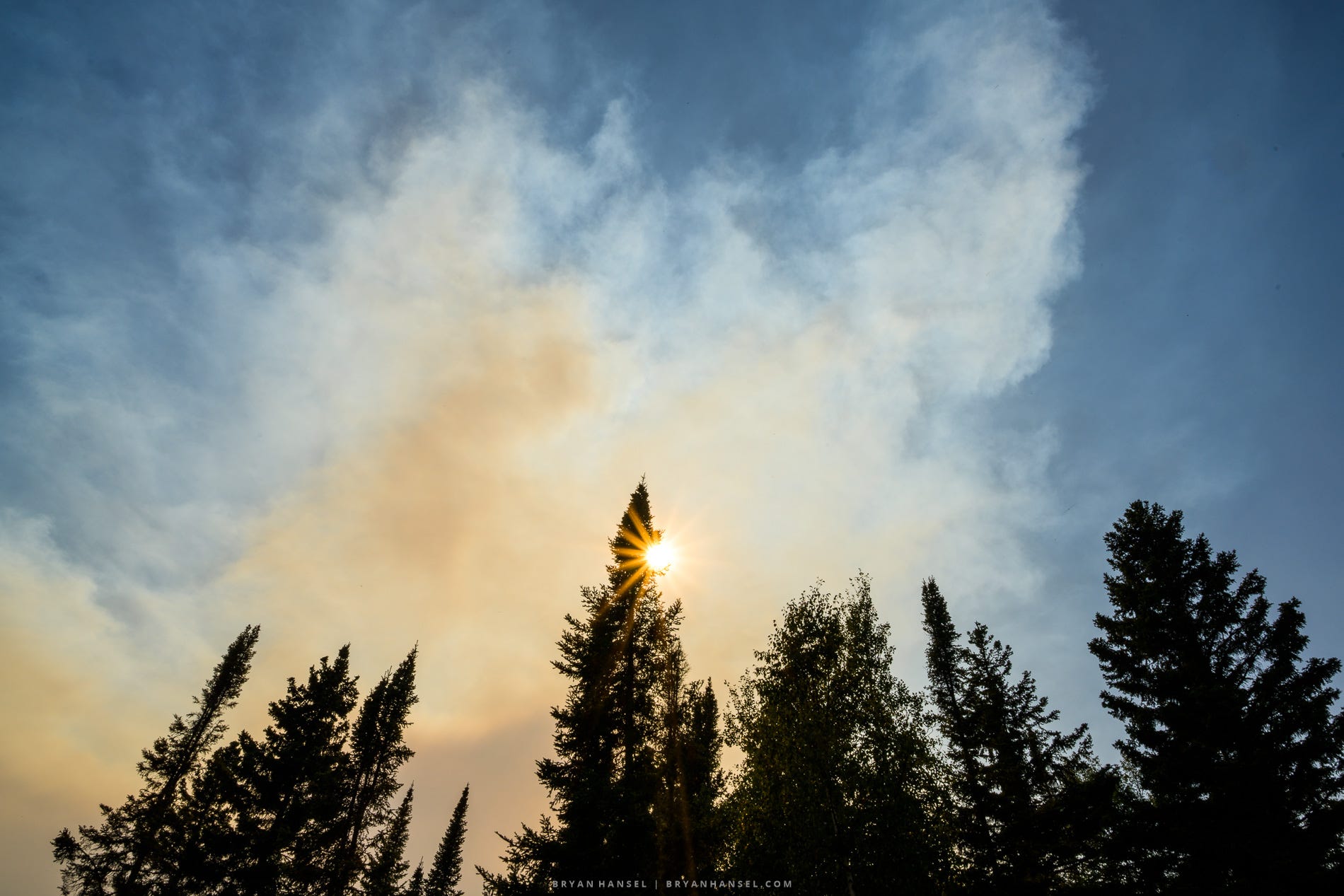 Sunlight shines through dense wildfire smoke drifting above a stand of spruce and birch trees, creating warm light beneath a hazy sky.