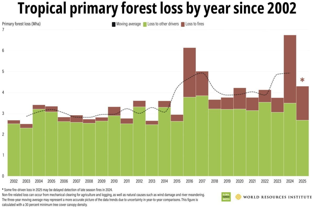 Tropical primary forest loss by year since 2002
