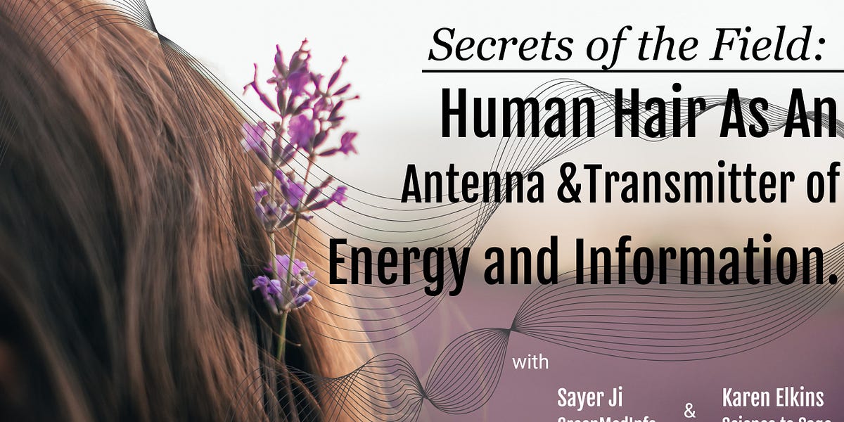 Secrets of the Field: Human Hair As An Antenna & Transmitter of Energy and Information.