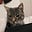 cat Lover86#!'s avatar