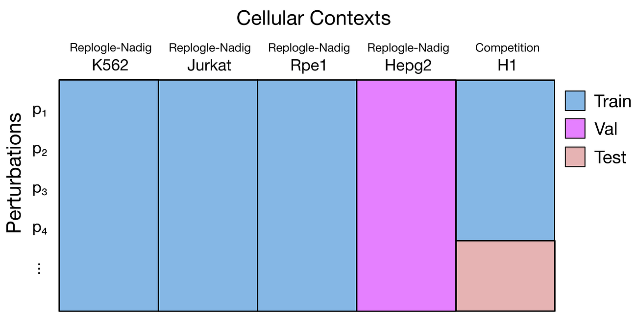Arc Virtual Cell Challenge part 1: my diary 