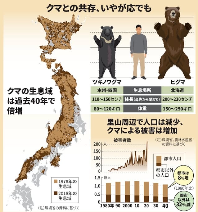 進撃のクマ、里山に君臨 2050年には都市占拠か - 日本経済新聞