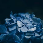Il feedback è una postura