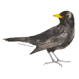 Raspberrythief’s Nature Journaling Newsletter