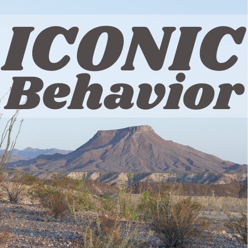 Artwork for Iconic Behavior