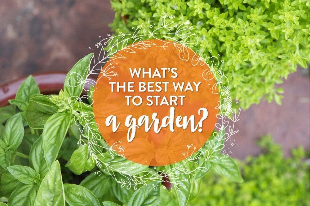 best way to start a garden copy.jpg