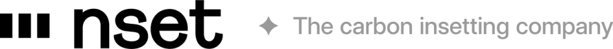 Team’s Substack