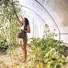 Come trasformare il sogno di un’azienda agricola rigenerativa in un progetto concreto