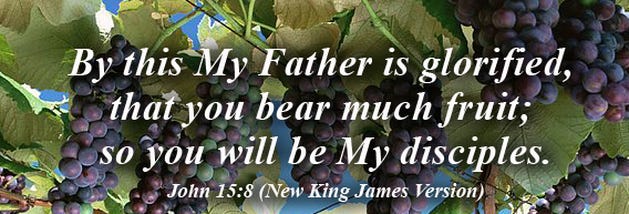 John 15:8 - The Fellowship Site