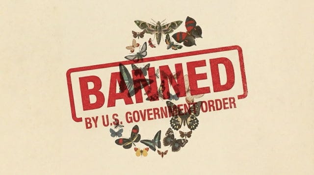 US Government Forces Anthropic to Suspend Claude Fable 5 and Mythos 5 -  iClarified