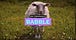 Mia Freedman’s Babble