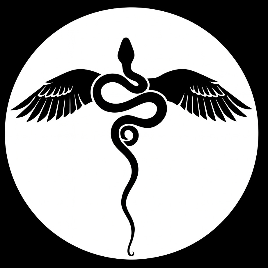 EagleSnake  ·  Spiritual Doula