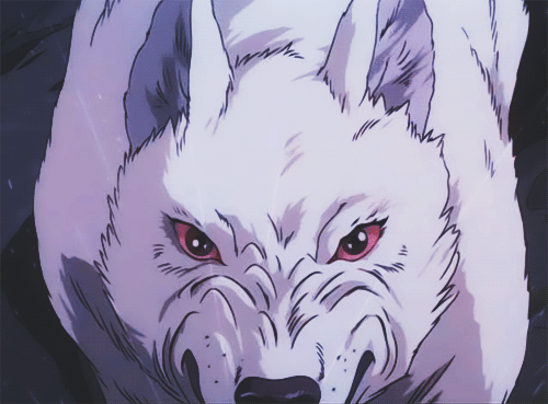 This may contain: a white wolf with red eyes staring at the camera