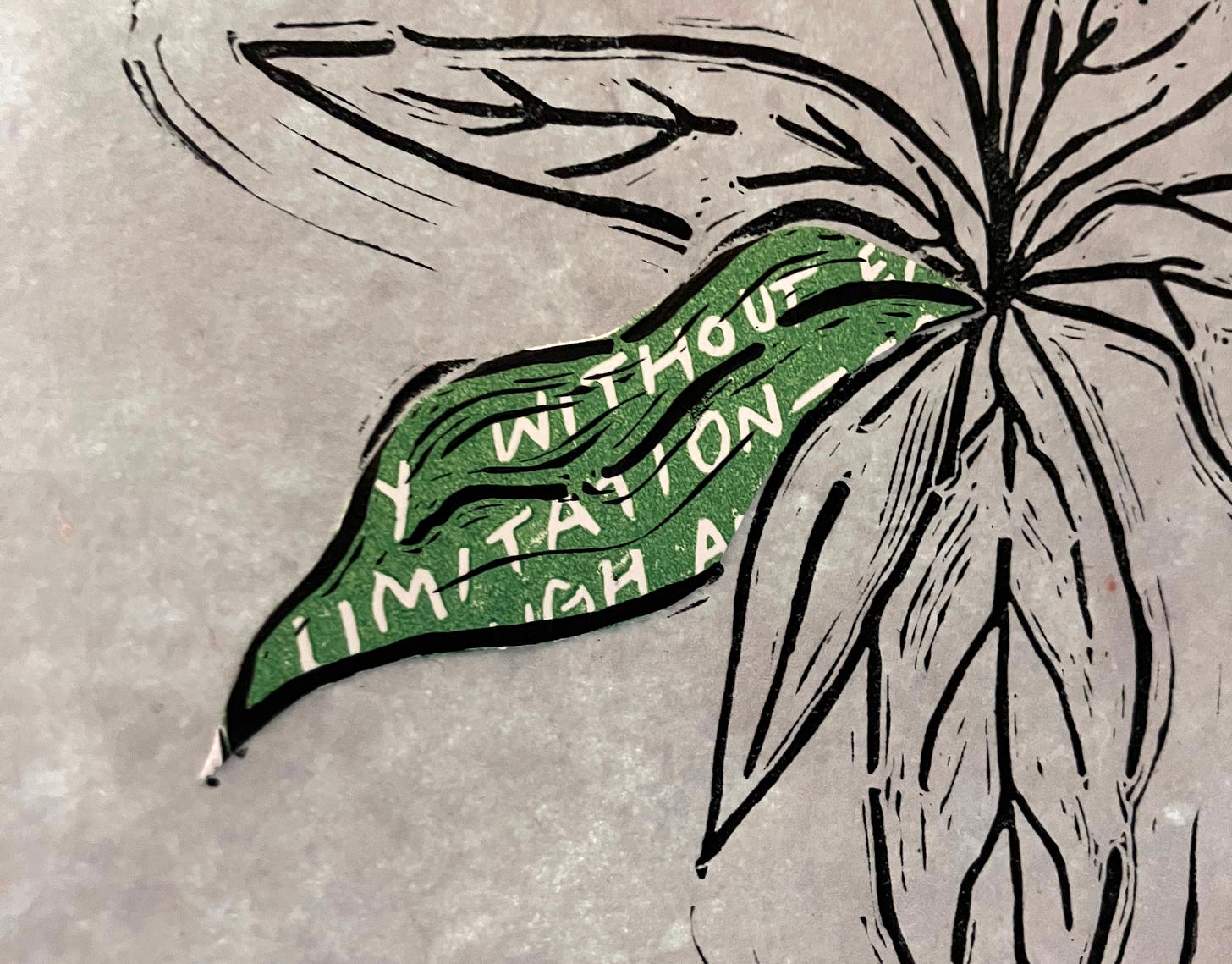 A detail of a linocut print of a starflower, with a fragment of poetry in green that reads: "WITHOUT LIMITATION" A detail of a linocut print of a starflower, with a fragment of poetry in green that reads: "WITHOUT LIMITATION"