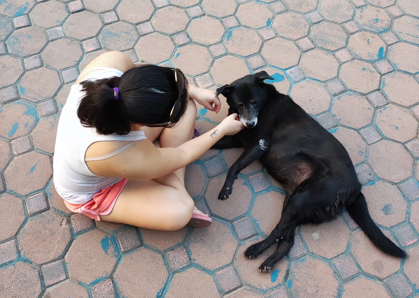 Nina coccola un cane nero, seduta a gambe incrociate, su un pavimento di mattonelle.